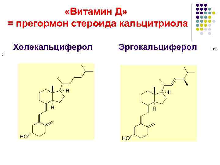  «Витамин Д» = прегормон стероида кальцитриола Холекальциферол Эргокальциферол ) (14) 