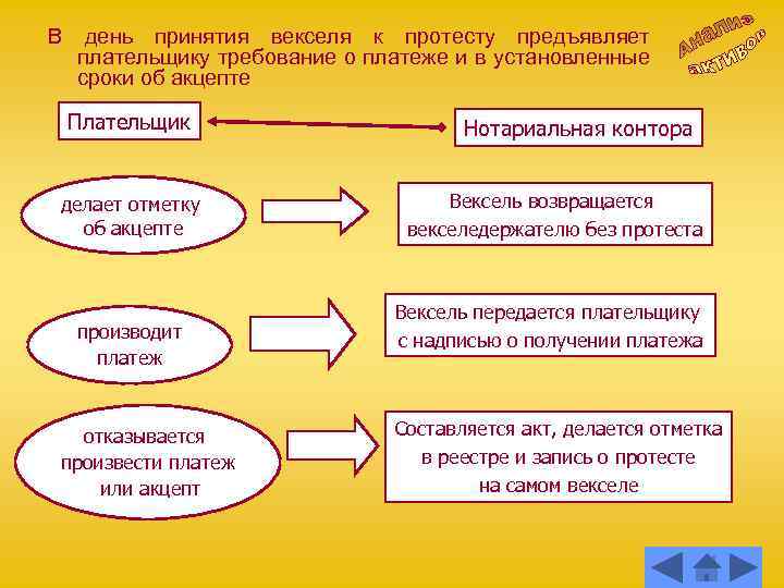 В день принятия векселя к протесту предъявляет плательщику требование о платеже и в установленные