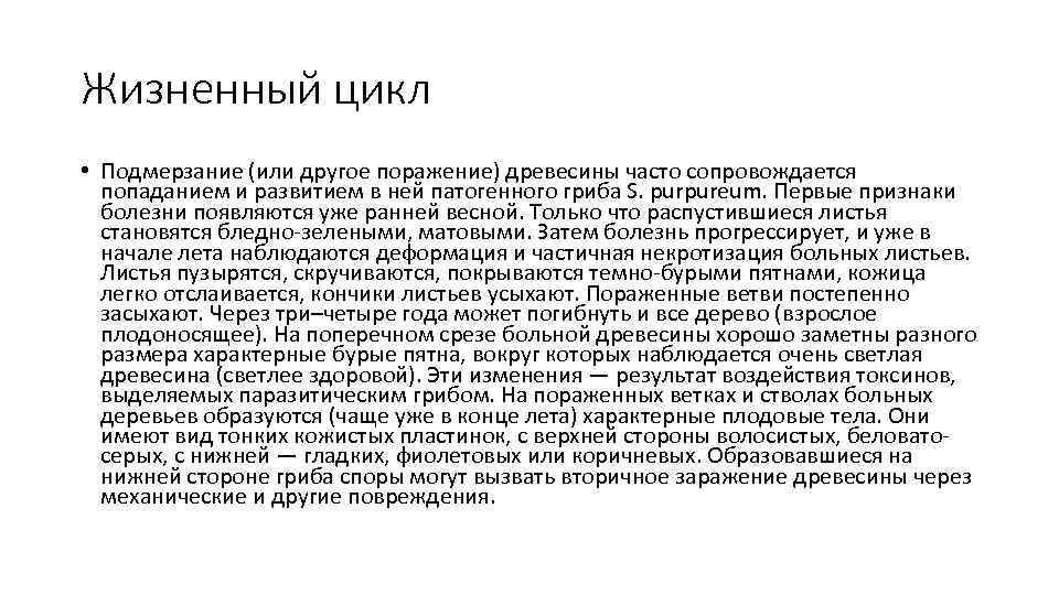 Жизненный цикл • Подмерзание (или другое поражение) древесины часто сопровождается попаданием и развитием в