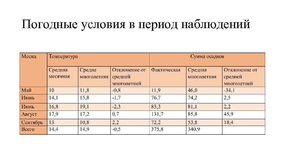 Погодные условия в период наблюдений 