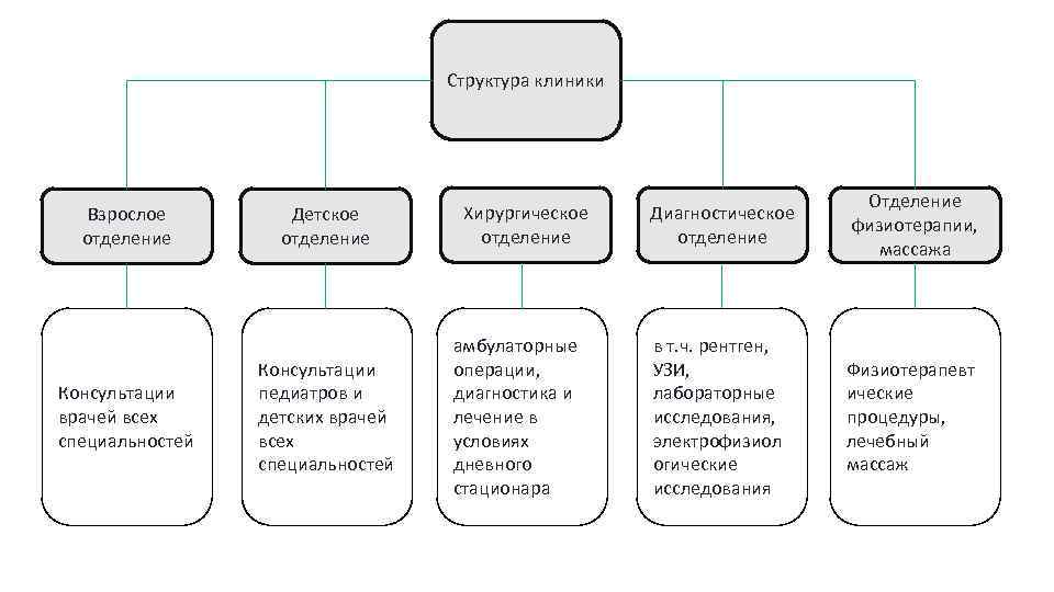 Структура стоматологической поликлиники схема