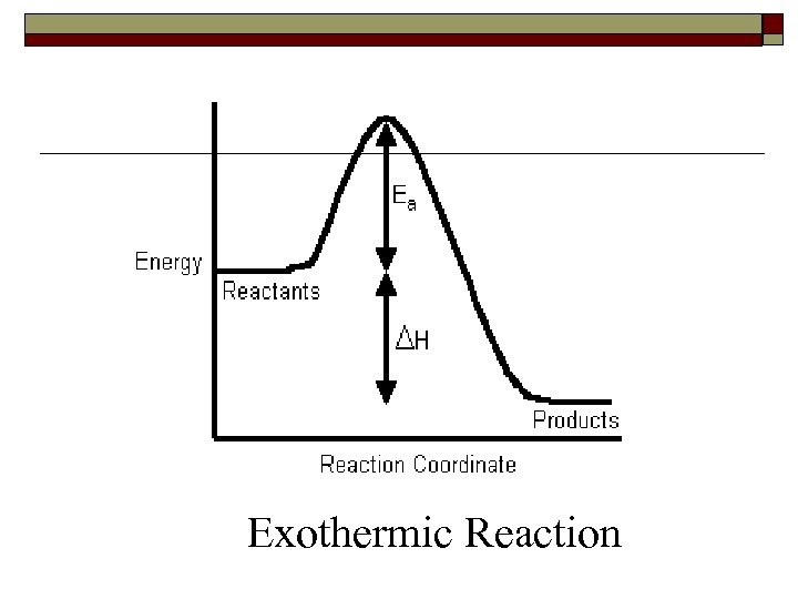 Exothermic Reaction 