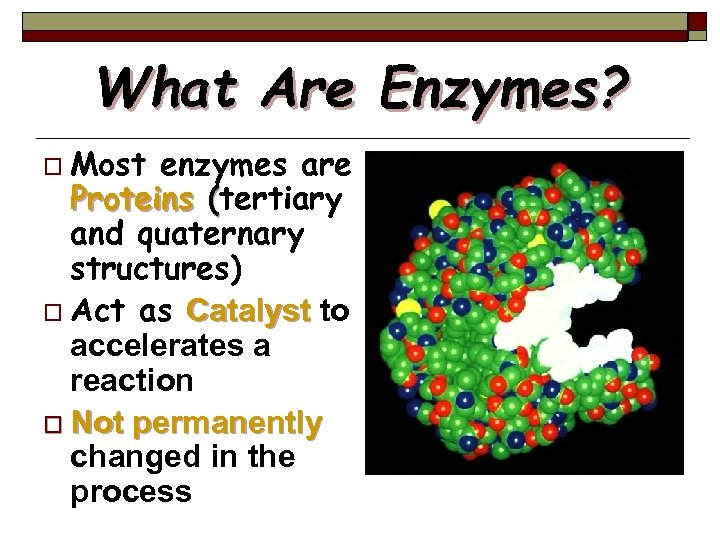 What Are Enzymes? o Most enzymes are Proteins (tertiary and quaternary structures) o Act