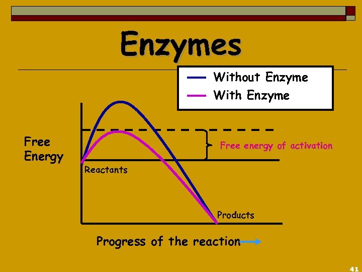 Enzymes Without Enzyme With Enzyme Free Energy Free energy of activation Reactants Products Progress