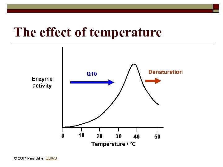 The effect of temperature Q 10 Enzyme activity 0 © 2007 Paul Billiet ODWS