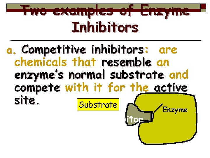 Two examples of Enzyme Inhibitors a. Competitive inhibitors: are chemicals that resemble an enzyme’s