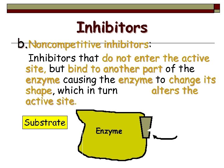 Inhibitors b. Noncompetitive inhibitors: Inhibitors that do not enter the active site, but bind