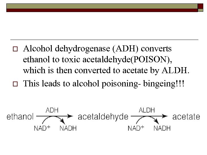 o o Alcohol dehydrogenase (ADH) converts ethanol to toxic acetaldehyde(POISON), which is then converted