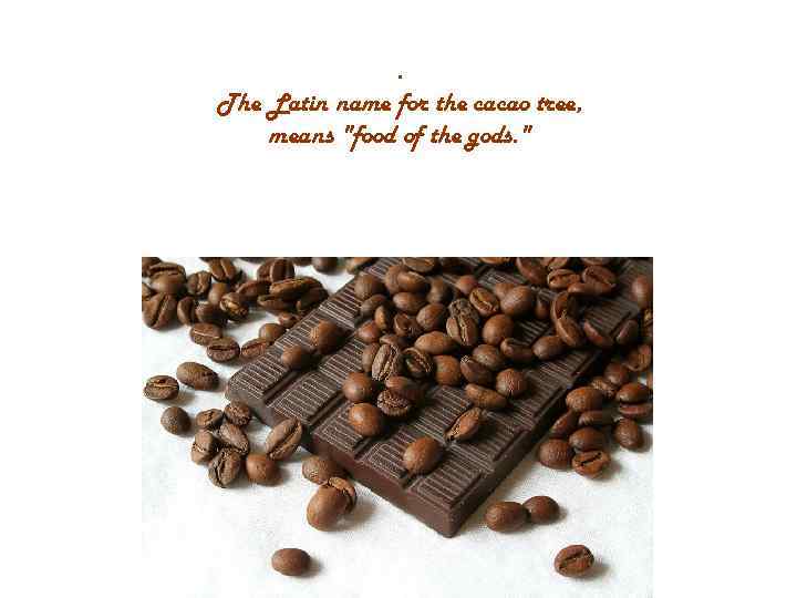 . The Latin name for the cacao tree, means 