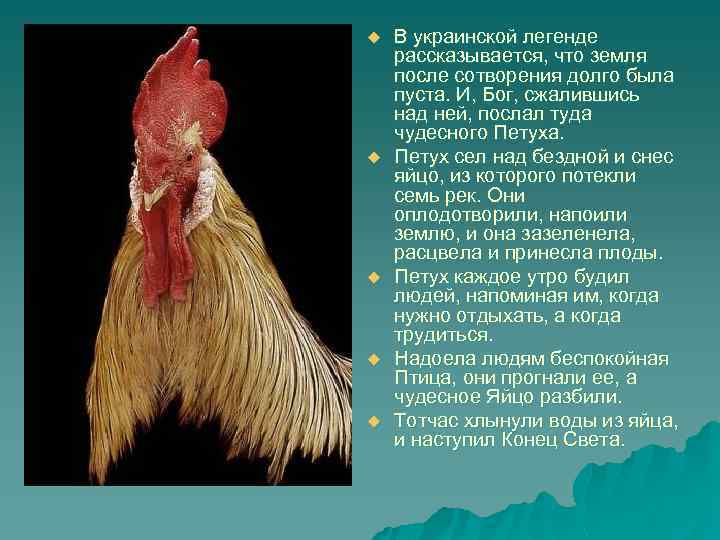 u u u В украинской легенде рассказывается, что земля после сотворения долго была пуста.