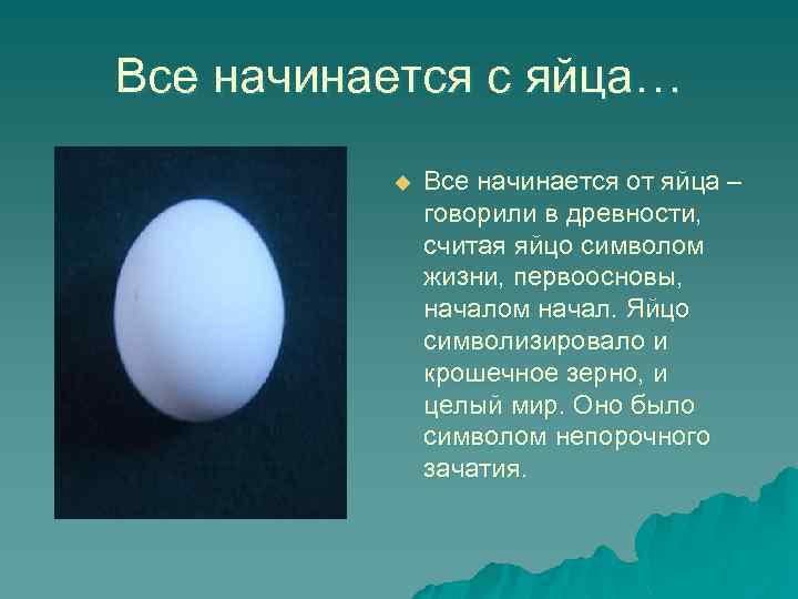 Яйцо с начала. Яйцо начало жизни. Яйцо как символ жизни. Жизнь начинается с яйца. Яйцо это начало.