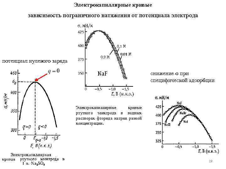 Электрокапиллярные кривые зависимость пограничного натяжения от потенциала электрода потенциал нулевого заряда снижение σ при