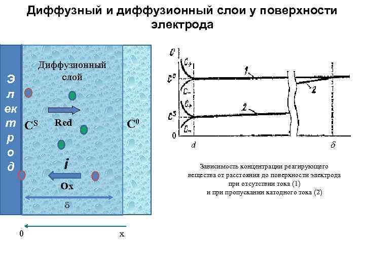 Диффузный и диффузионный слои у поверхности электрода Э л ек т СS р о