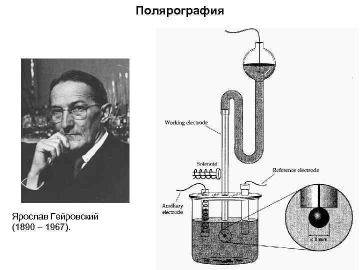 Полярография Ярослав Гейровский (1890 – 1967). 