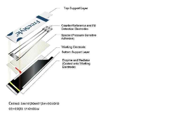 Схема амперометрического сенсора глюкозы 