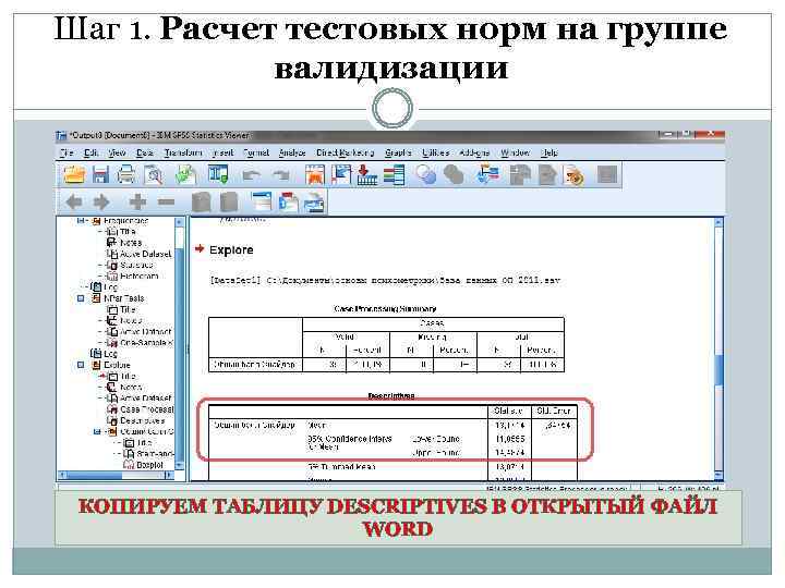 Шаг 1. Расчет тестовых норм на группе валидизации КОПИРУЕМ ТАБЛИЦУ DESCRIPTIVES В ОТКРЫТЫЙ ФАЙЛ