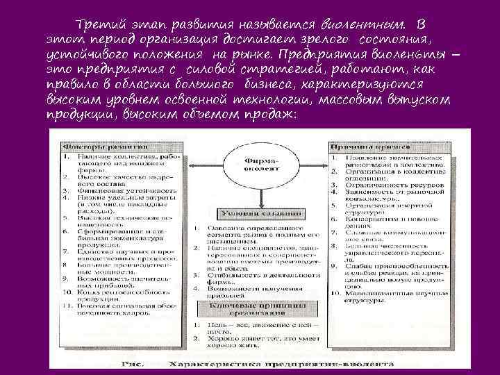 Третий этап развития называется виолентным. В этот период организация достигает зрелого состояния, устойчивого положения