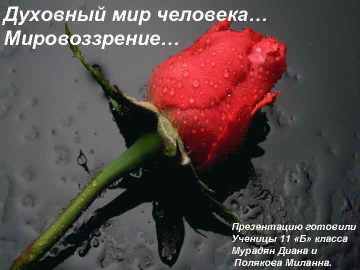 Духовный мир человека… Мировоззрение… Презентацию готовили Ученицы 11 «Б» класса Мурадян Диана и Полякова