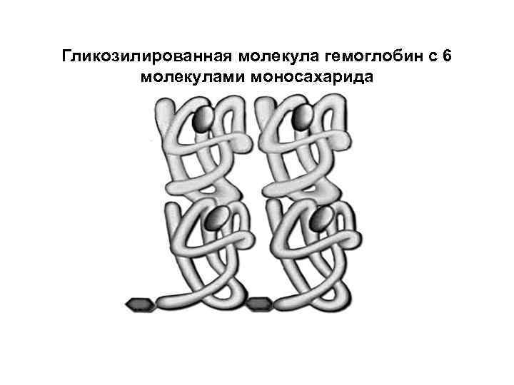 Гликозилированная молекула гемоглобин с 6 молекулами моносахарида 