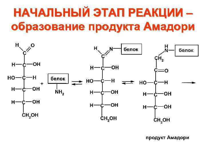 НАЧАЛЬНЫЙ ЭТАП РЕАКЦИИ – образование продукта Амадори 