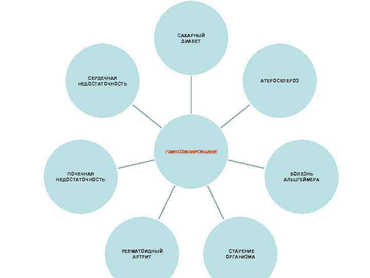 САХАРНЫЙ ДИАБЕТ СЕРДЕЧНАЯ НЕДОСТАТОЧНОСТЬ АТЕРОСКЛЕРОЗ ГЛИКОЗИЛИРОВАНИЕ ПОЧЕЧНАЯ НЕДОСТАТОЧНОСТЬ БОЛЕЗНЬ АЛЬЦГЕЙМЕРА РЕВМАТОИДНЫЙ АРТРИТ СТАРЕНИЕ ОРГАНИЗМА