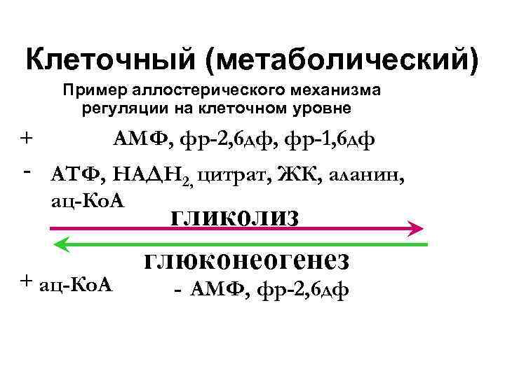 Клеточный (метаболический) Пример аллостерического механизма регуляции на клеточном уровне + АМФ, фр-2, 6 дф,