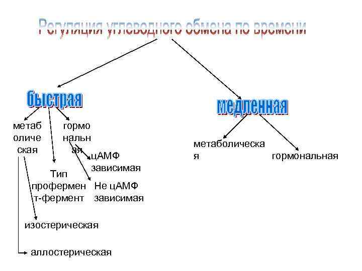 метаб оличе ская гормо нальн ая ц. АМФ зависимая Тип профермен Не ц. АМФ