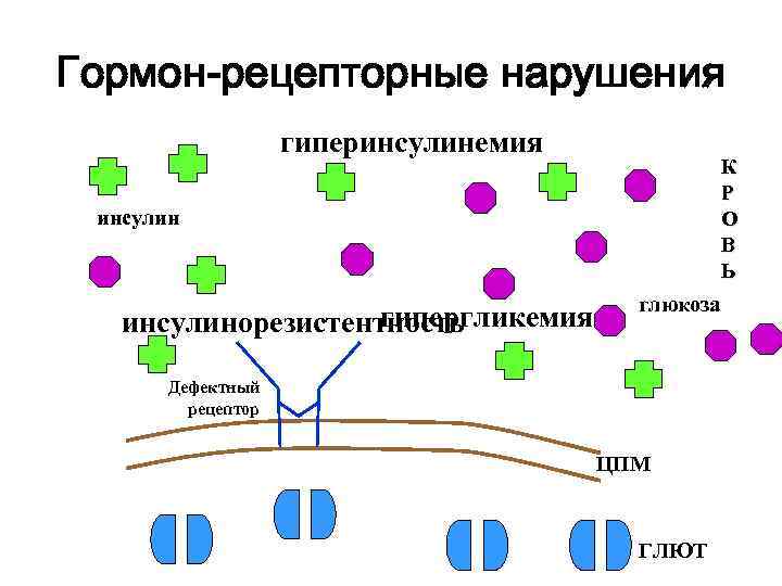 Гормон-рецепторные нарушения гиперинсулинемия К Р О В Ь инсулин гипергликемия инсулинорезистентность глюкоза Дефектный рецептор