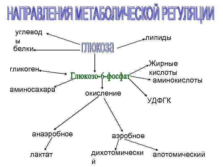 Составить схему участия усиленного перекисного окисления липидов в развитии патологии нейронов