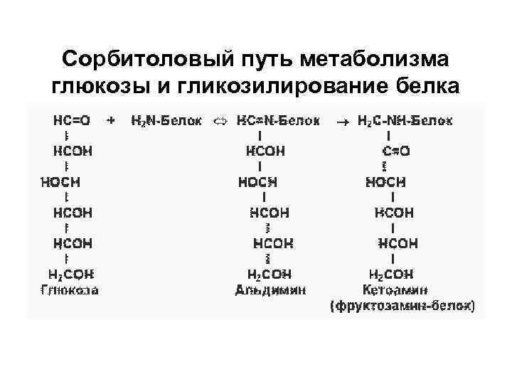 Сорбитоловый путь метаболизма глюкозы и гликозилирование белка 