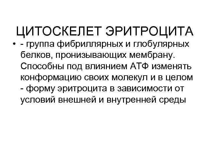 ЦИТОСКЕЛЕТ ЭРИТРОЦИТА • - группа фибриллярных и глобулярных белков, пронизывающих мембрану. Способны под влиянием