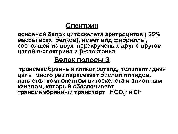  Спектрин основной белок цитоскелета эритроцитов ( 25% массы всех белков), имеет вид фибриллы,