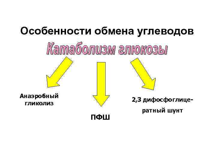 Особенности обмена углеводов Анаэробный гликолиз 2, 3 дифосфоглице- ПФШ ратный шунт 