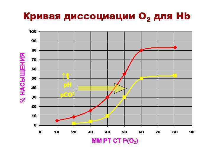 Кривая диссоциации О 2 для Hb ↑t◦ p. H p. CO 2 