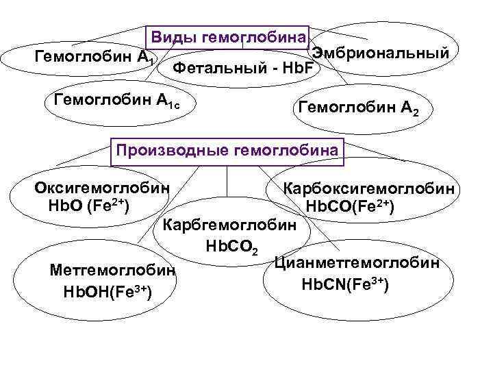 Виды гемоглобина Гемоглобин А 1 Эмбриональный Фетальный - Hb. F Гемоглобин А 1 с