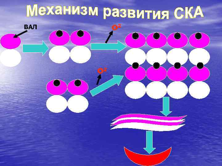 О 2 ВАЛ О 2 