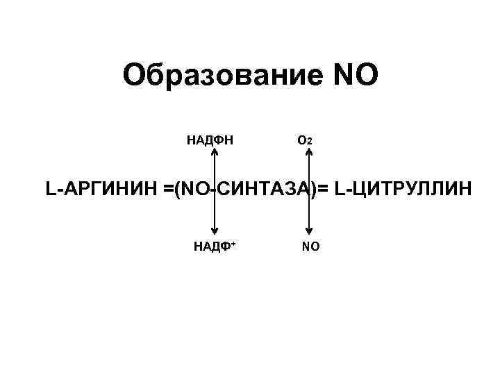 Образование NO НАДФН О 2 L-АРГИНИН =(NO-СИНТАЗА)= L-ЦИТРУЛЛИН НАДФ+ NO 