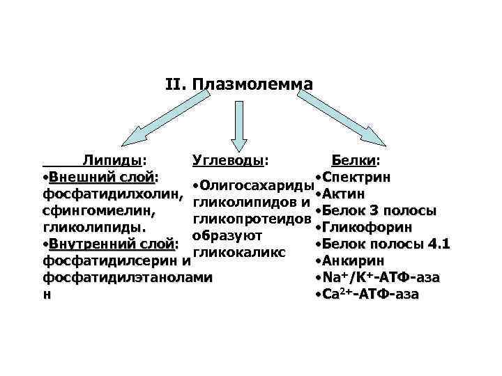 Липиды белки и углеводы