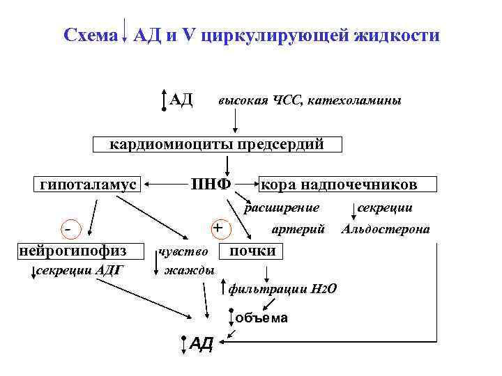 Схема криогенной жидкости mindustry