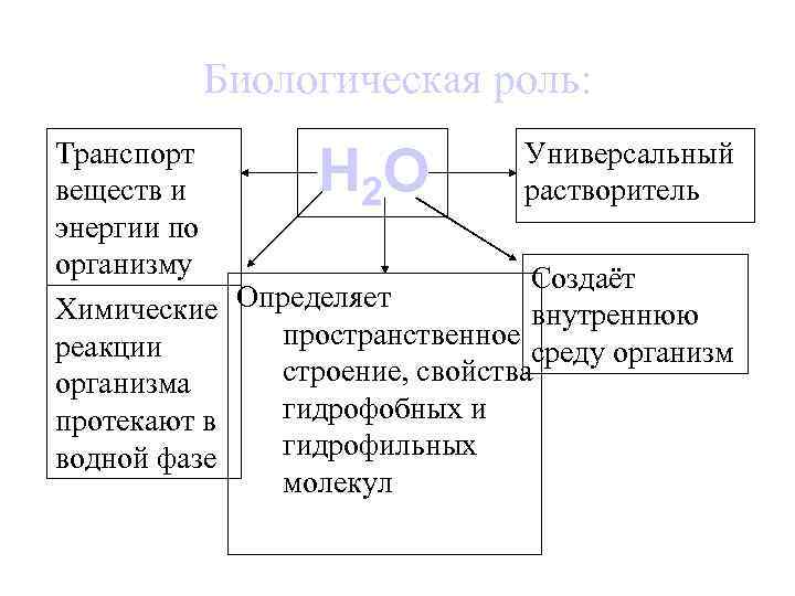 Биологическая роль: Универсальный Транспорт растворитель веществ и 2 энергии по организму Создаёт Химические Определяет