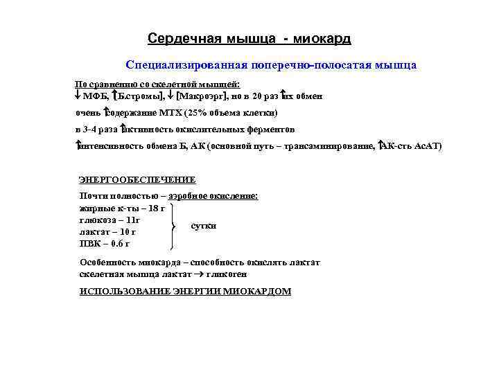 Сердечная мышца миокард Специализированная поперечно-полосатая мышца По сравнению со скелетной мышцей: ¯ МФБ, [Б.