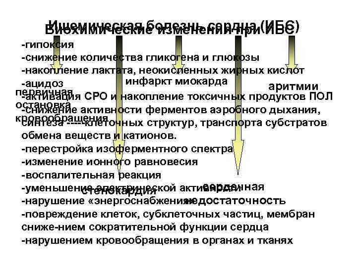 Ишемическая болезнь сердца (ИБС) Биохимические изменения при ИБС гипоксия снижение количества гликогена и глюкозы