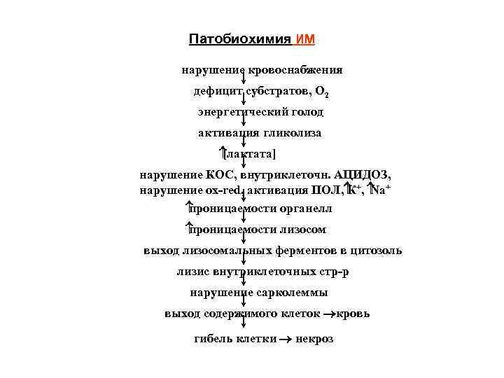 Патобиохимия ИМ нарушение кровоснабжения дефицит субстратов, О 2 энергетический голод активация гликолиза [лактата] нарушение
