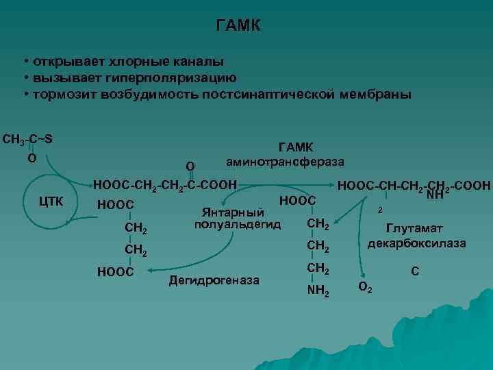 ГАМК • открывает хлорные каналы • вызывает гиперполяризацию • тормозит возбудимость постсинаптической мембраны CH