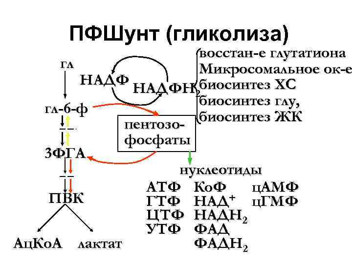В результате гликолиза образуется атф. НАДФ И надфн2. Надфн2 формула биохимия. НАДФН биохимия. ФГА гликолиз.