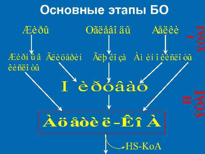 Основные этапы БО 