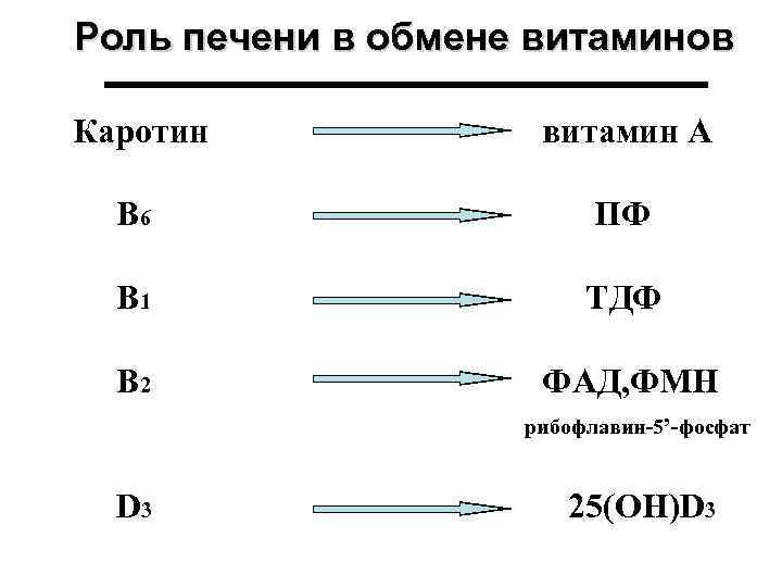 Роль печени в обмене витаминов Каротин витамин А В 6 ПФ В 1 ТДФ