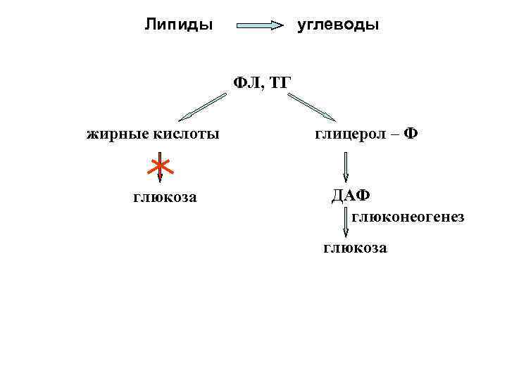 Схема полного расщепления глицерола