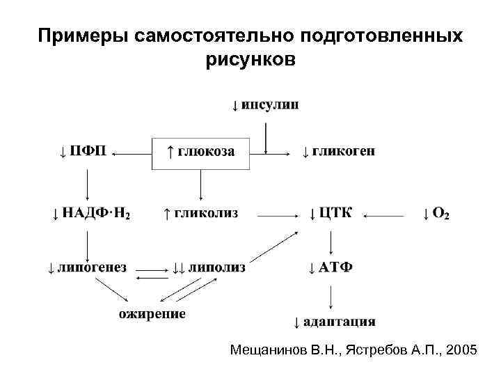 Примеры самостоятельно подготовленных рисунков Мещанинов В. Н. , Ястребов А. П. , 2005 