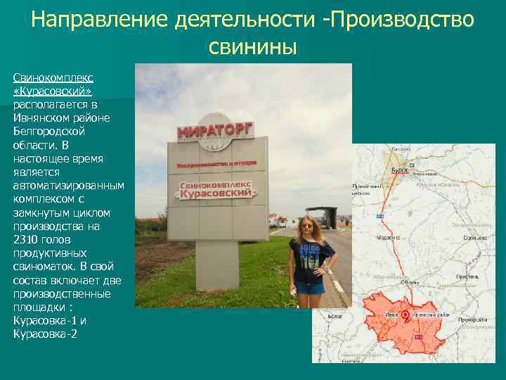 Направление деятельности -Производство свинины Свинокомплекс «Курасовский» располагается в Ивнянском районе Белгородской области. В настоящее